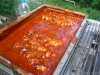 2009_pokalschiessen_07260060