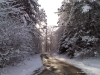 2010_winterimpressionen__02