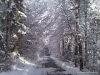 2010_winterimpressionen__06