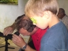 2011_adlerschiessen_05
