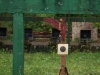 adler201323