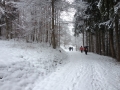 wanderung2014 (2)
