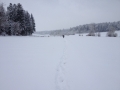 wanderung2014 (3)