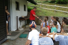 sofe-2015-005